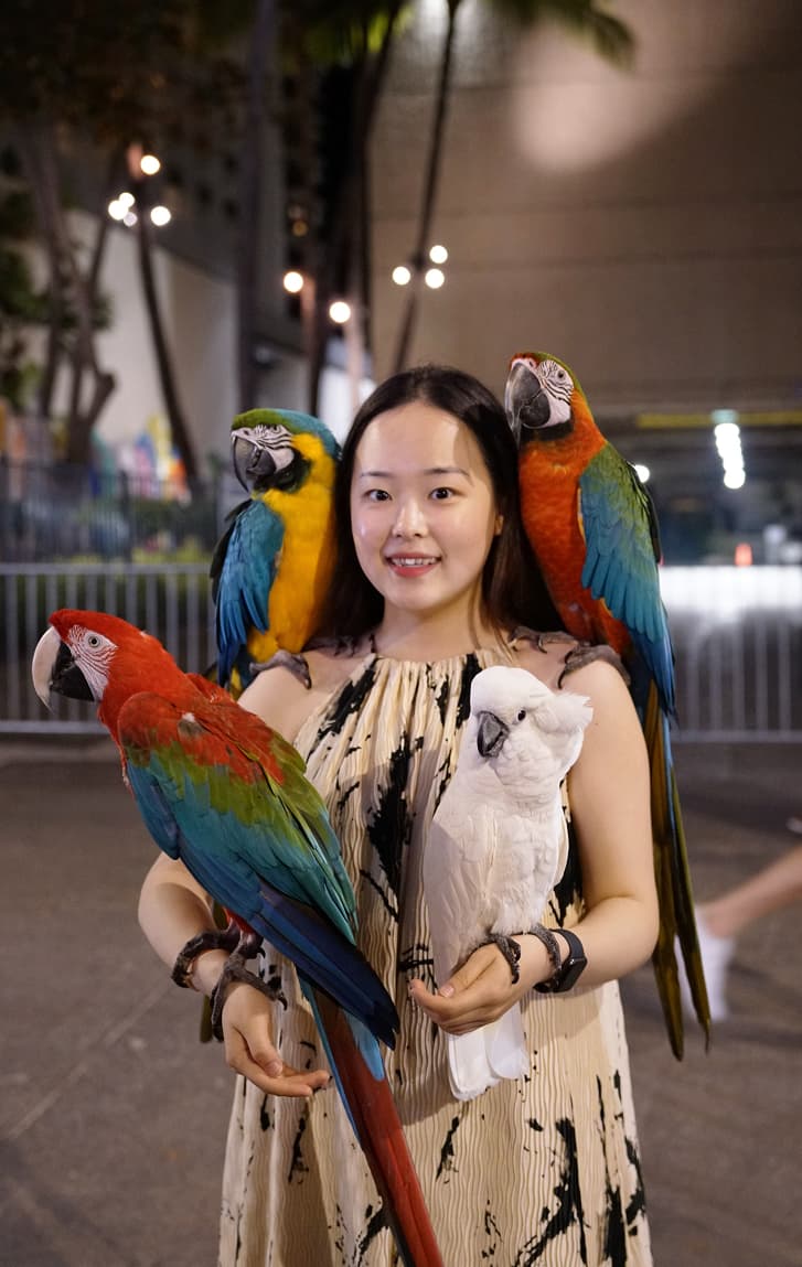 Xiaoqing Sun